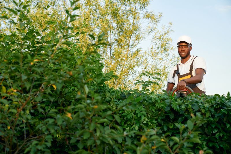 Shrub Pruning detail