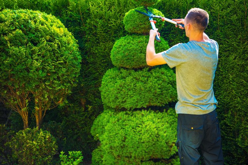 Trimming Large Bushes