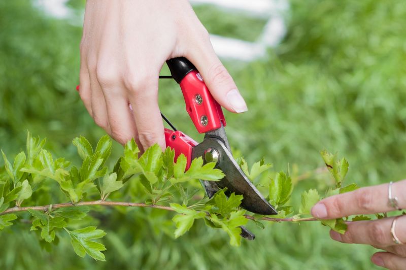 Pruning Shears