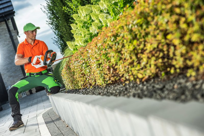 Increase Your Shrub Trimming Business with an AI Driven, Targeted Website